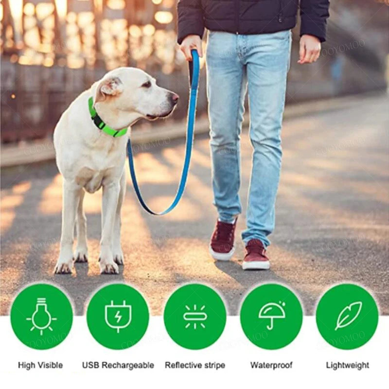 3 Modes Dog Luminous Charge Collar Led Usb Cat Dogs Collars