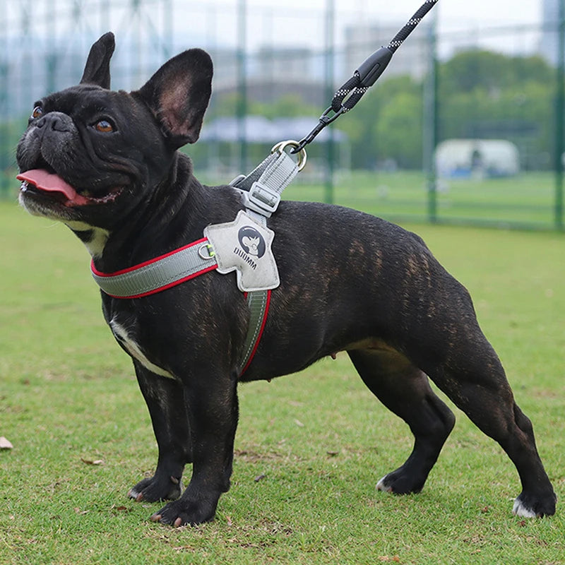 Y Dog Harness for Small Medium Dogs