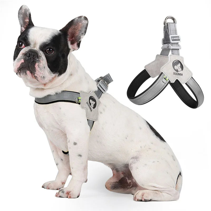 Y Dog Harness for Small Medium Dogs