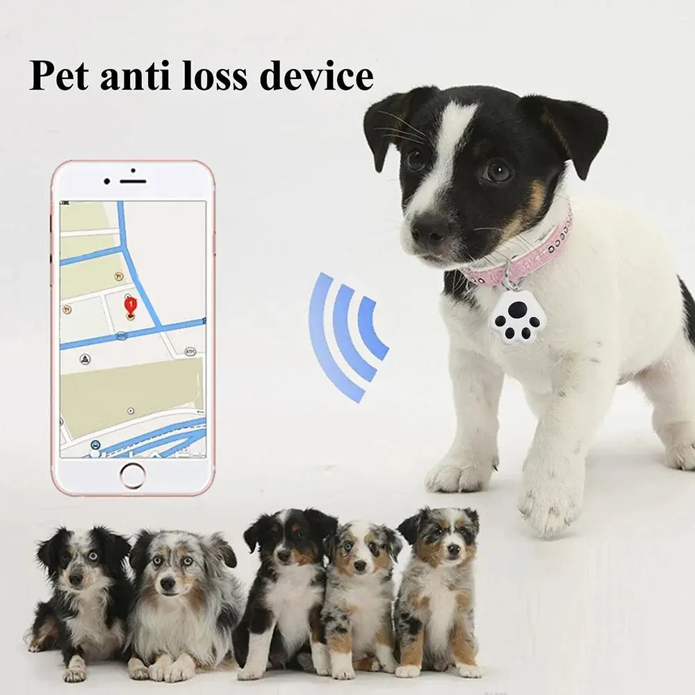 Cat Dog Tracking