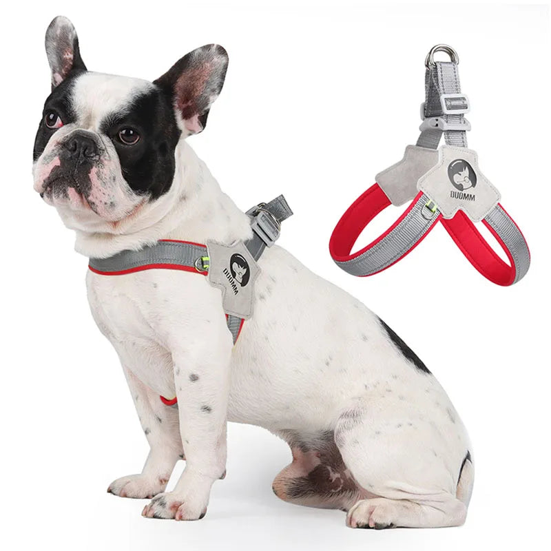 Y Dog Harness for Small Medium Dogs