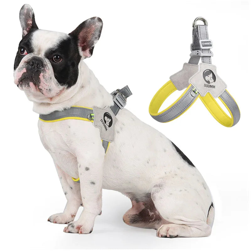 Y Dog Harness for Small Medium Dogs