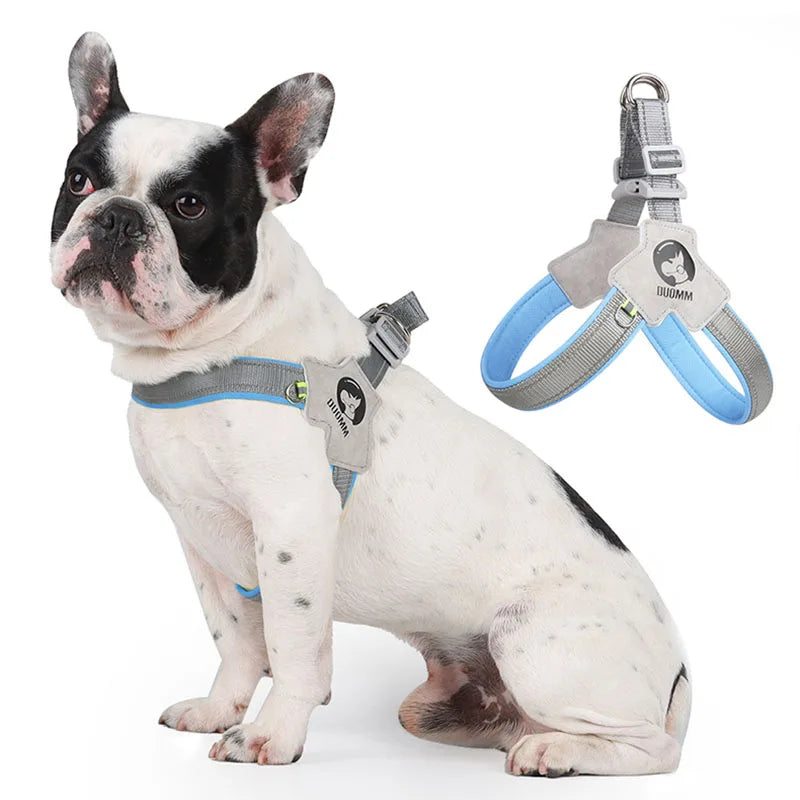 Y Dog Harness for Small Medium Dogs