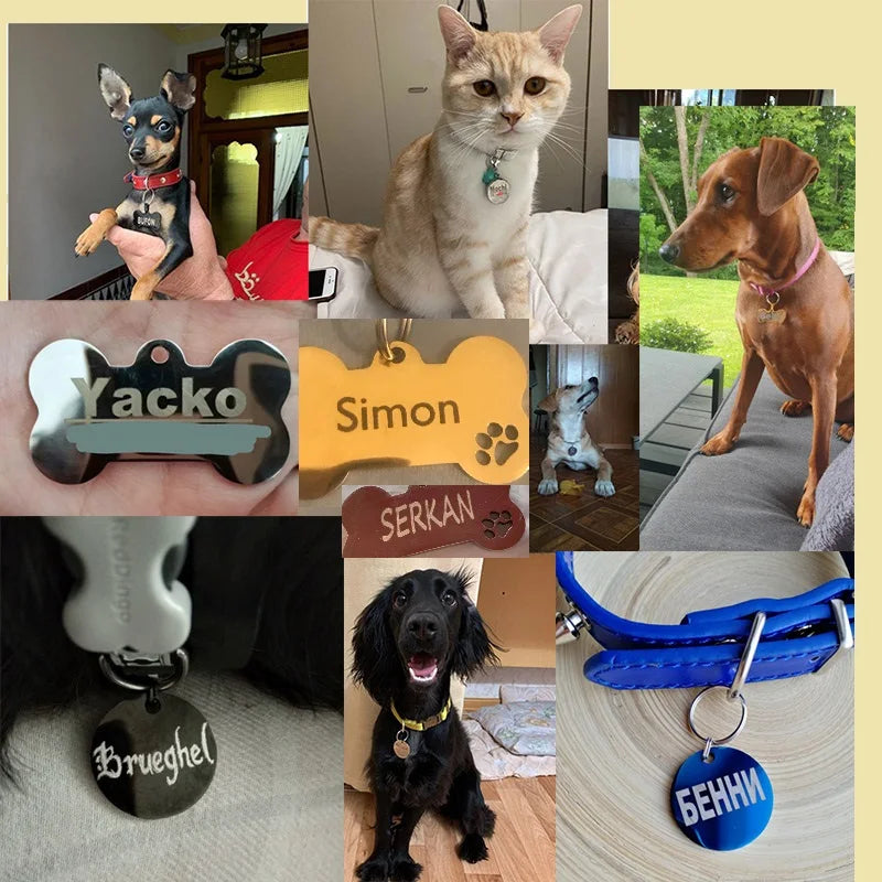 Pet ID Tag Personalized  for Cat Puppy Dog Tag