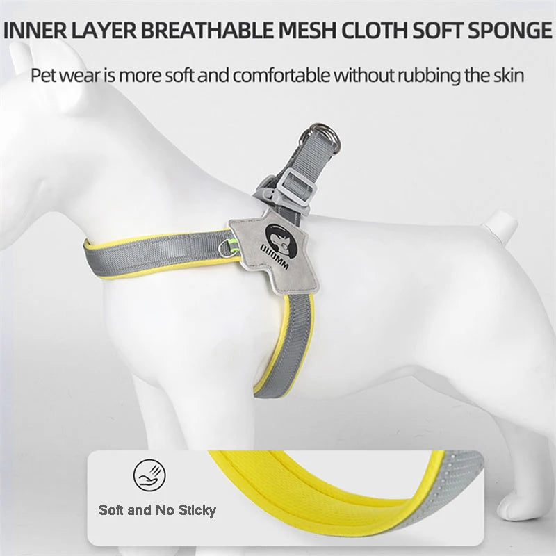 Y Dog Harness for Small Medium Dogs