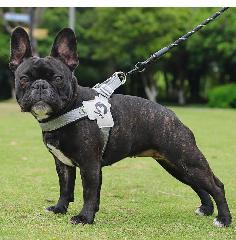 Y Dog Harness for Small Medium Dogs