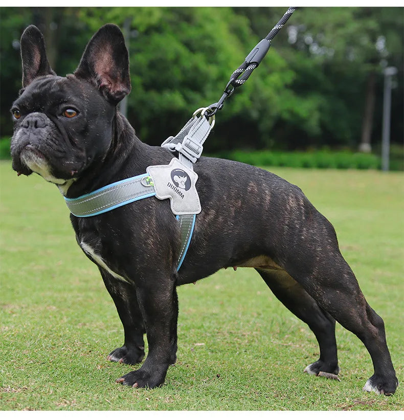 Y Dog Harness for Small Medium Dogs