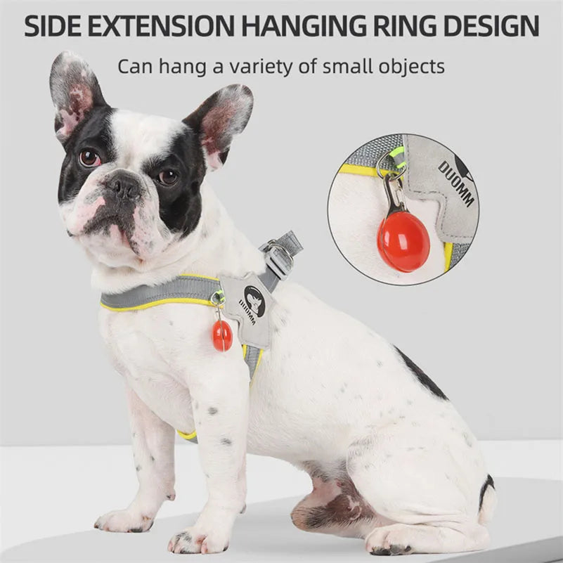 Y Dog Harness for Small Medium Dogs