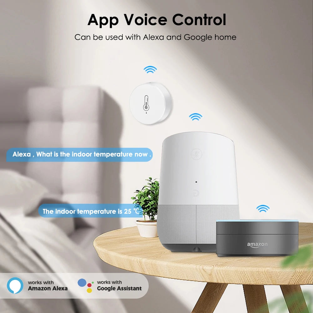 Temperature And Humidity Sensor Smart Home