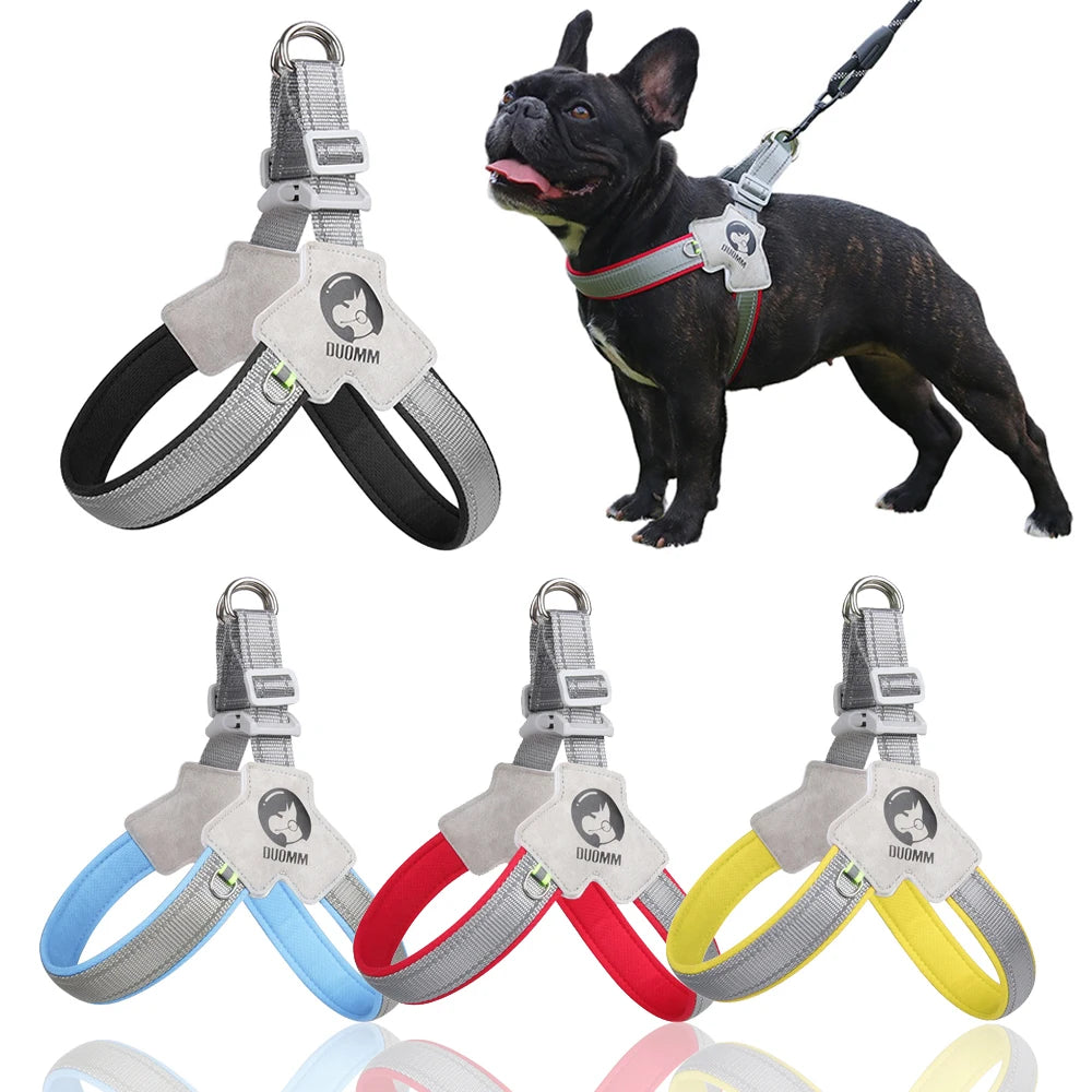 Y Dog Harness for Small Medium Dogs