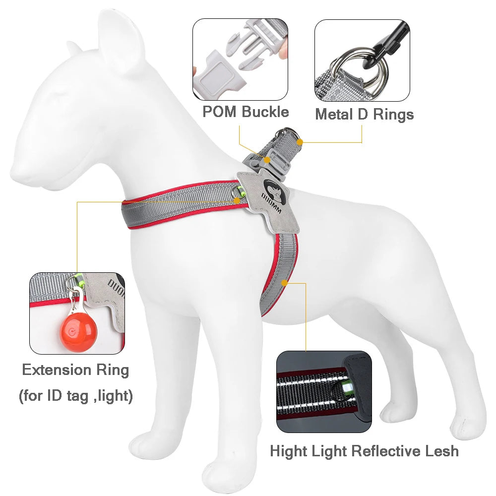 Y Dog Harness for Small Medium Dogs