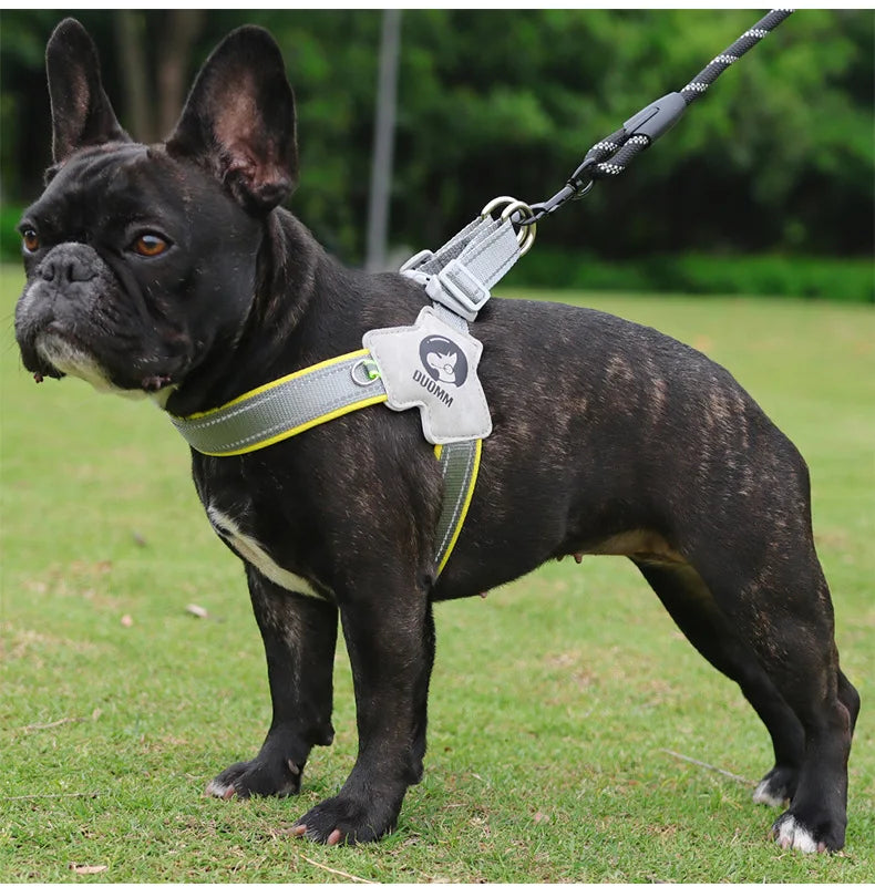 Y Dog Harness for Small Medium Dogs